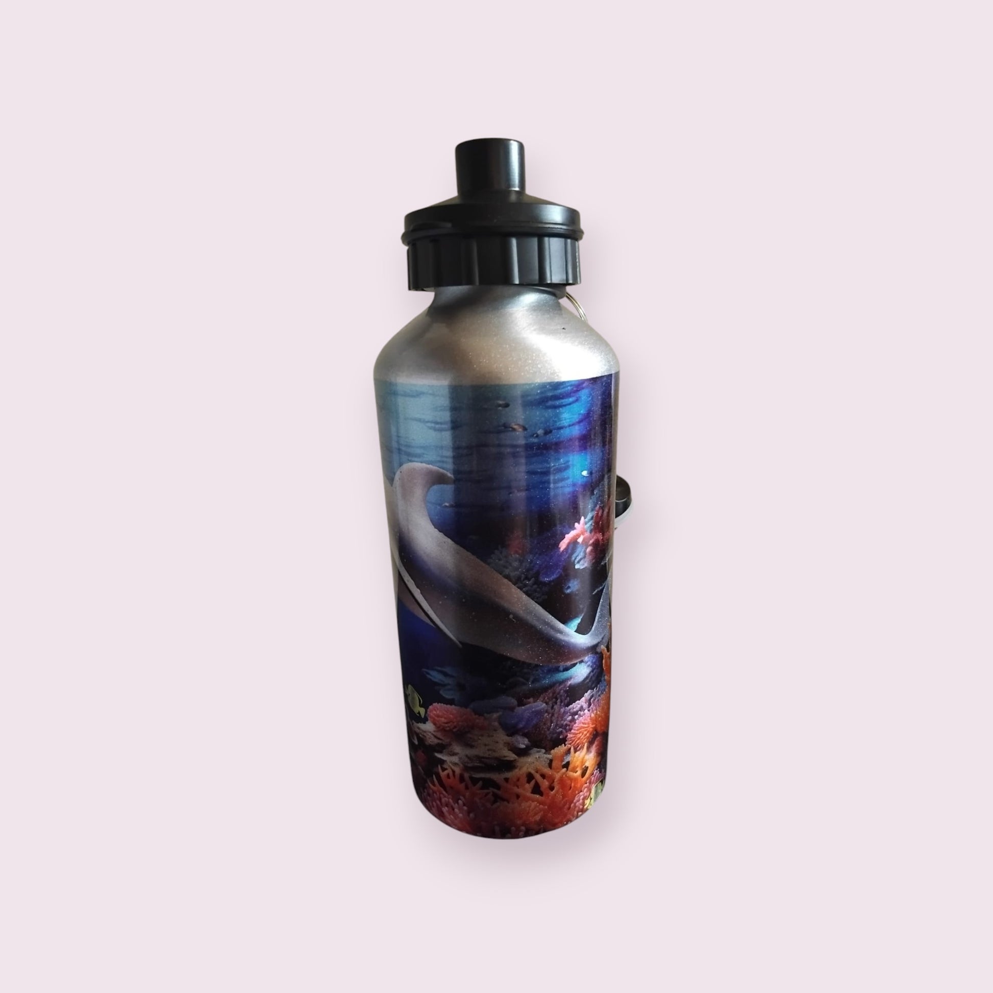 3D Dolphin 600ml Water Bottle - Wilde Gifts Water Bottle