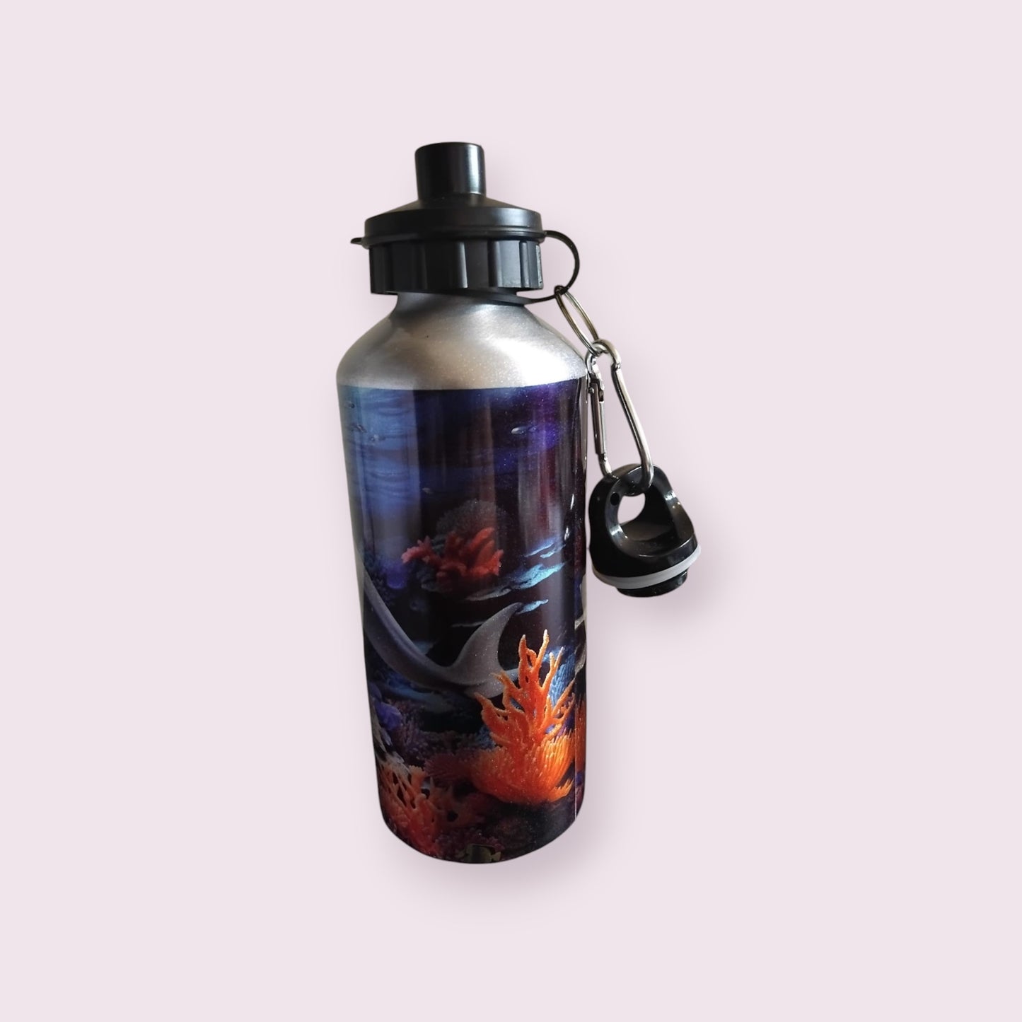 3D Dolphin 600ml Water Bottle - Wilde Gifts Water Bottle