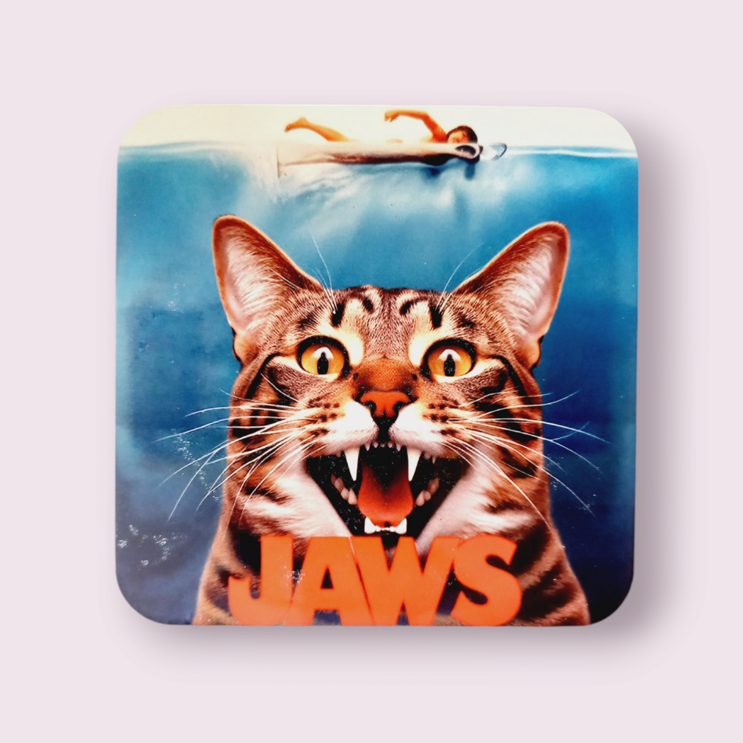 Cat Jaws Coaster - Wilde Gifts 