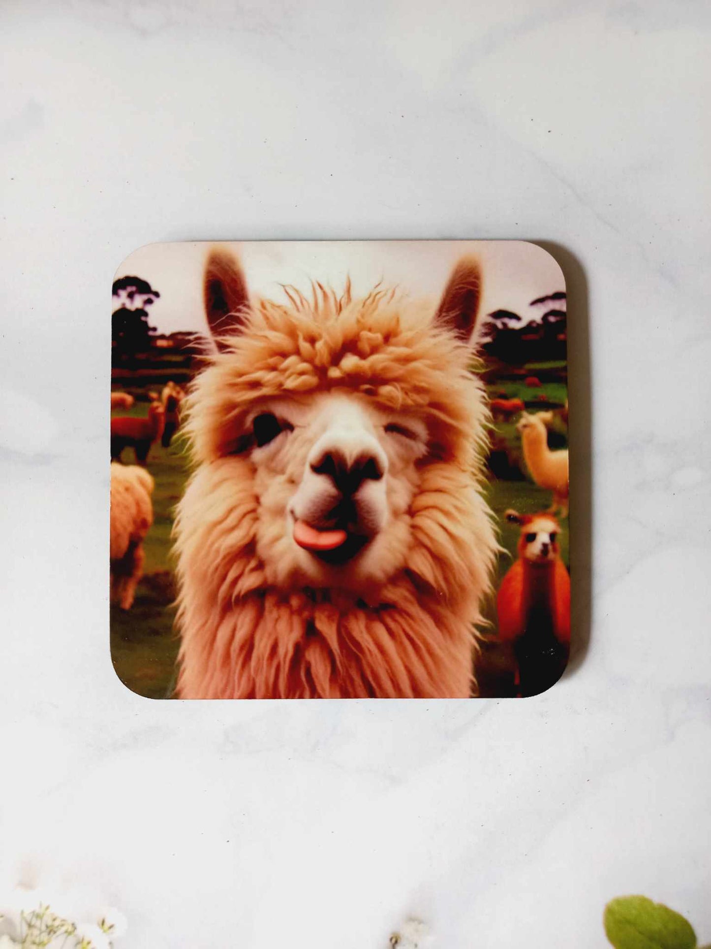 Cheeky Llama Coaster - Wilde Gifts 