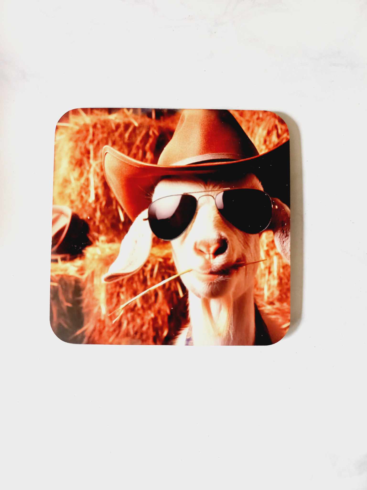 Country Goat Coaster - Wilde Gifts 