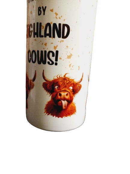 Distracted by Highland Cows 15oz hot cold Tumbler - Wilde Gifts 