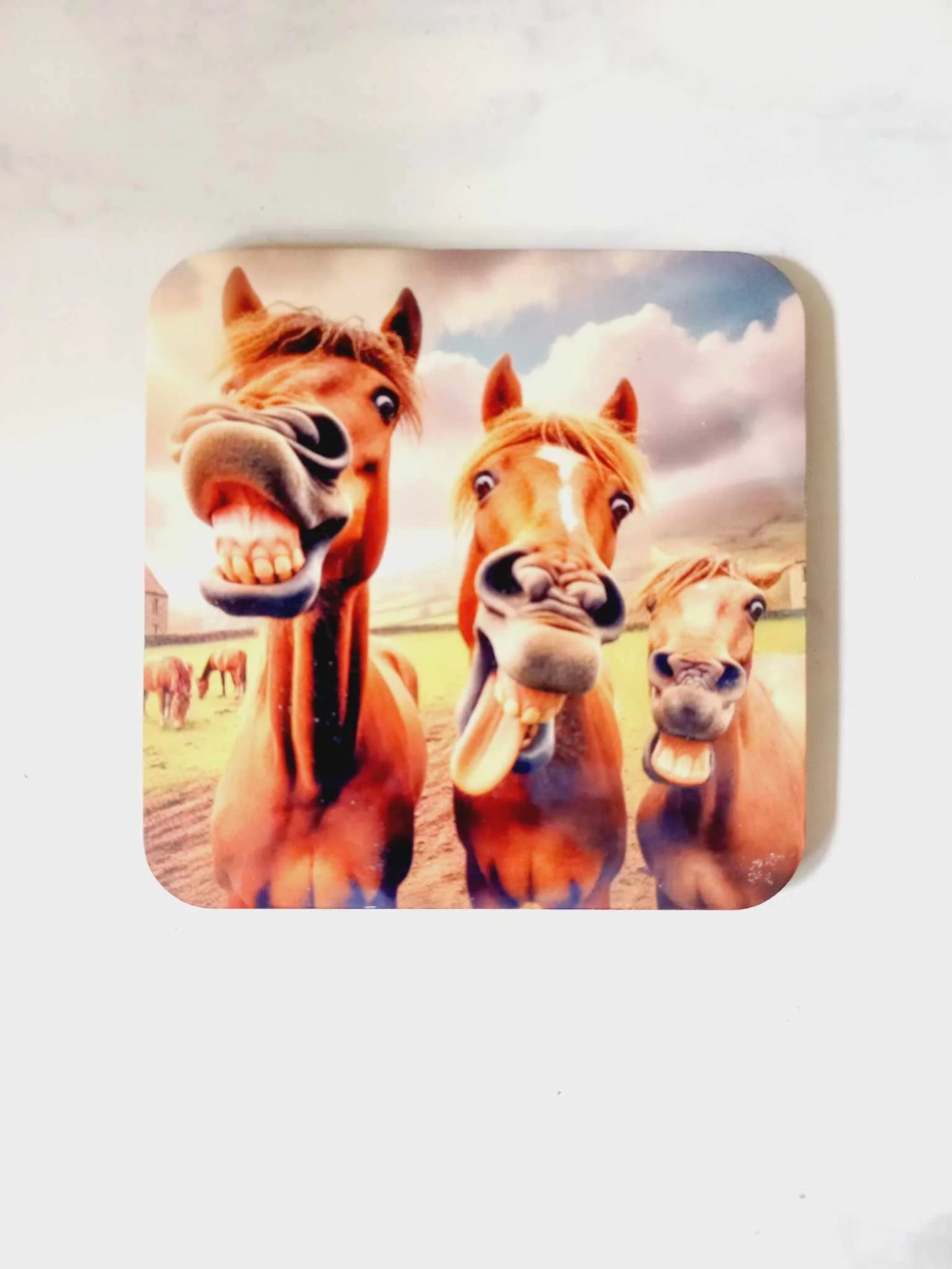 Funny Horses Coaster - Wilde Gifts Coaster