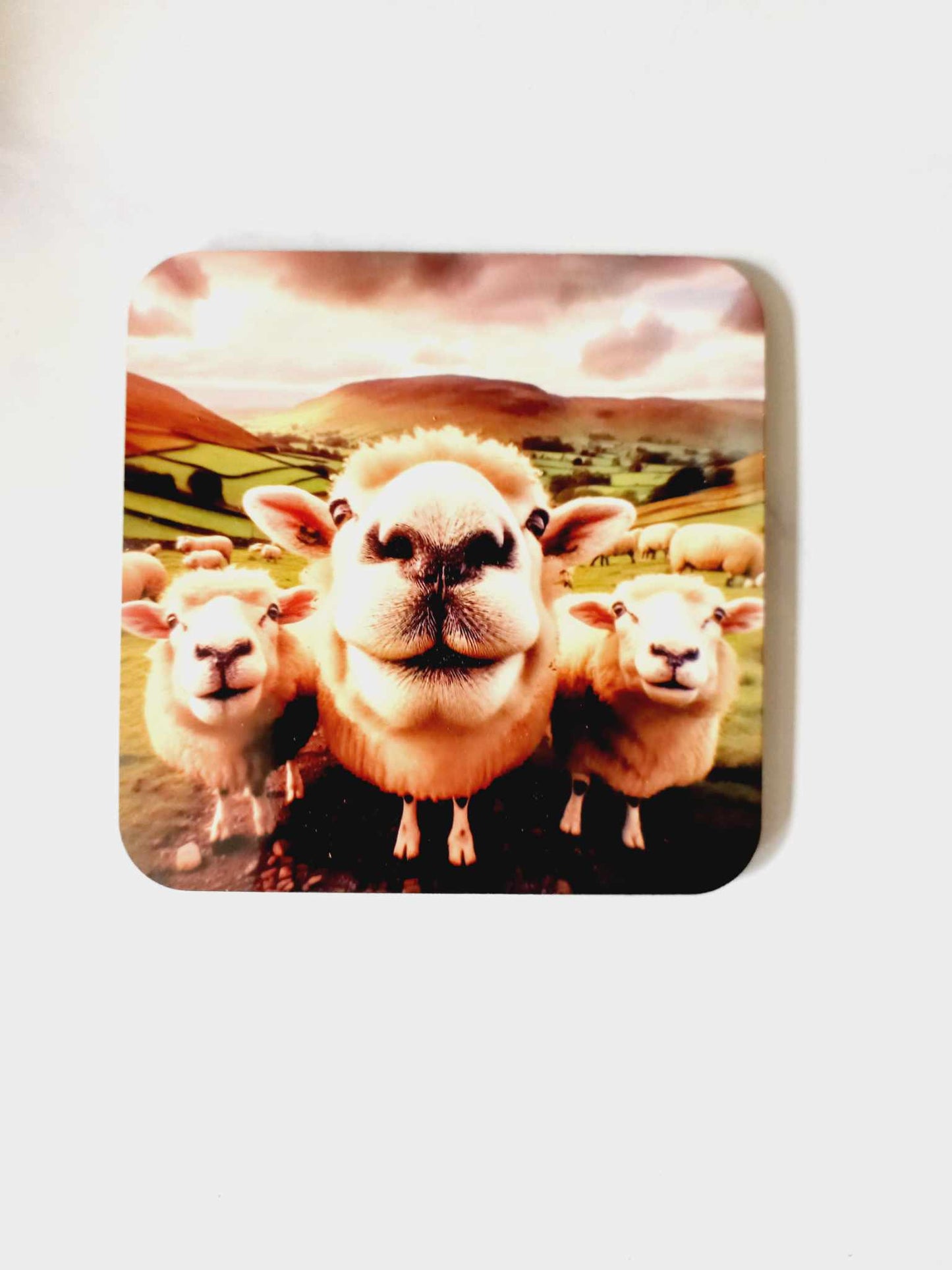 Funny sheep Coaster - Wilde Gifts Coaster