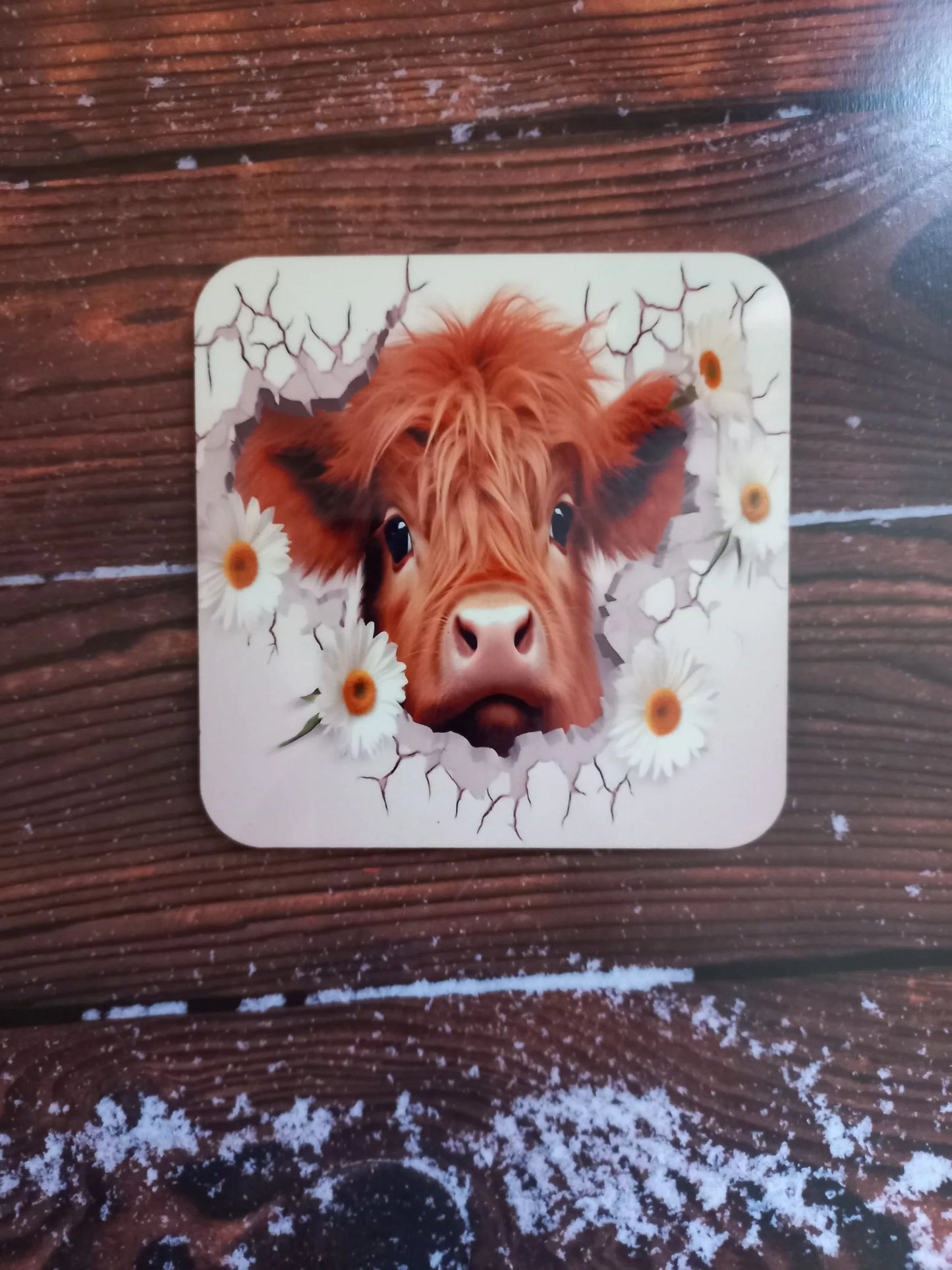 Highland daisy coaster - Wilde Gifts Coaster