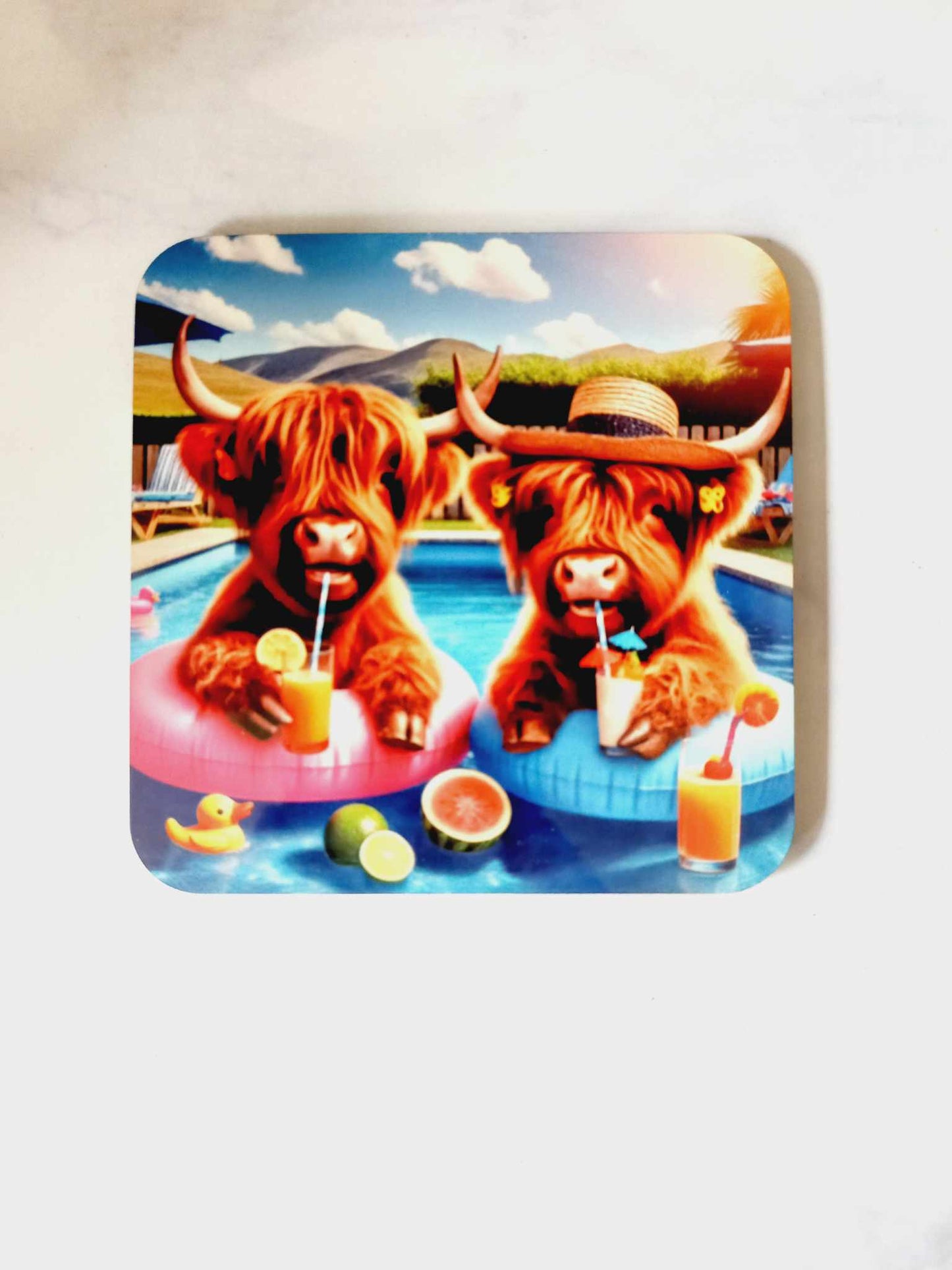 Highland pool party Coaster - Wilde Gifts 