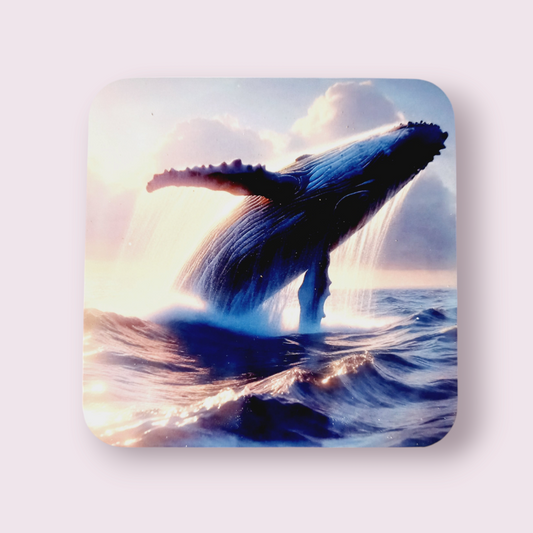 Humpback whale coaster - Wilde Gifts 