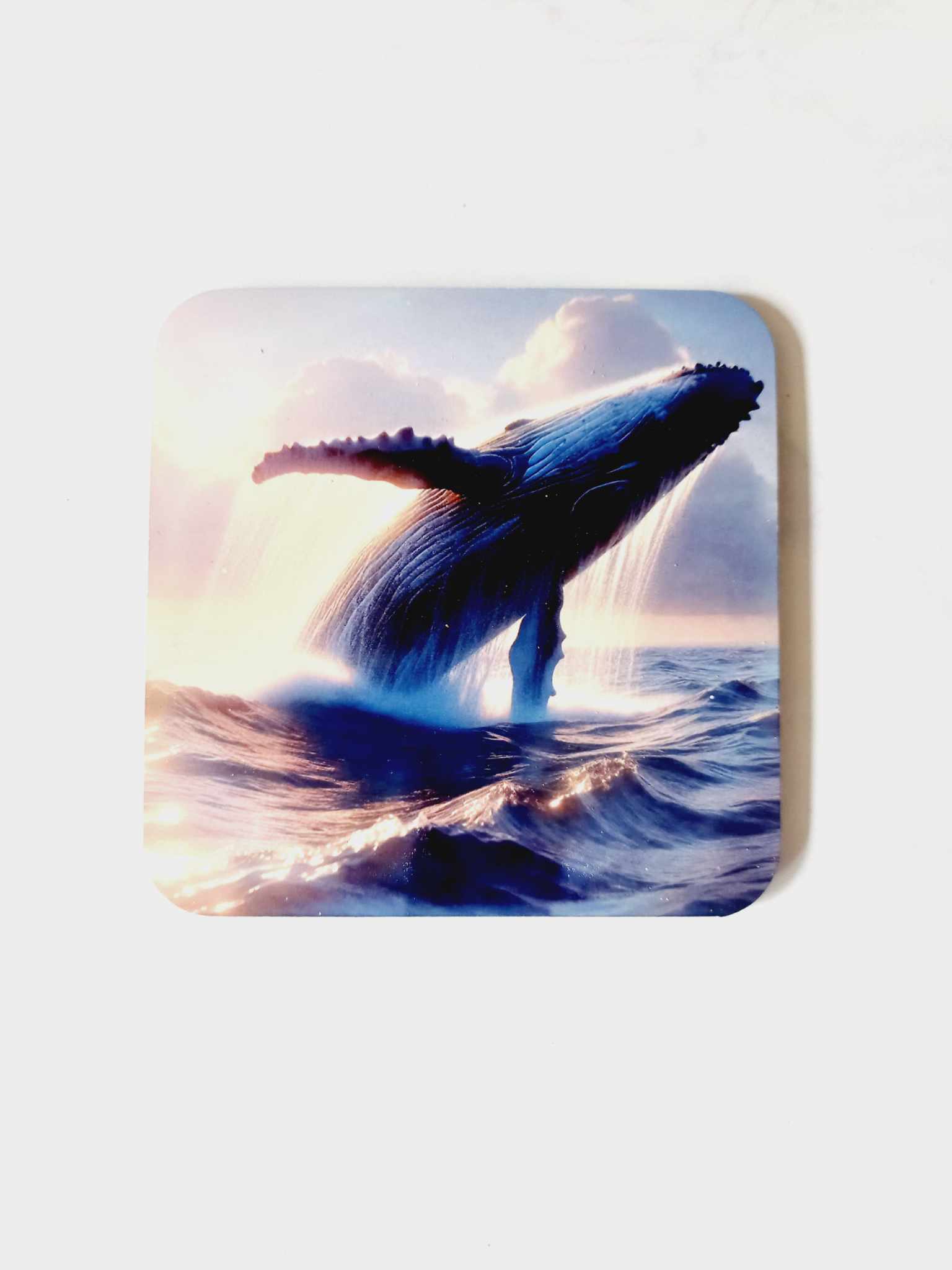 Humpback whale coaster - Wilde Gifts 