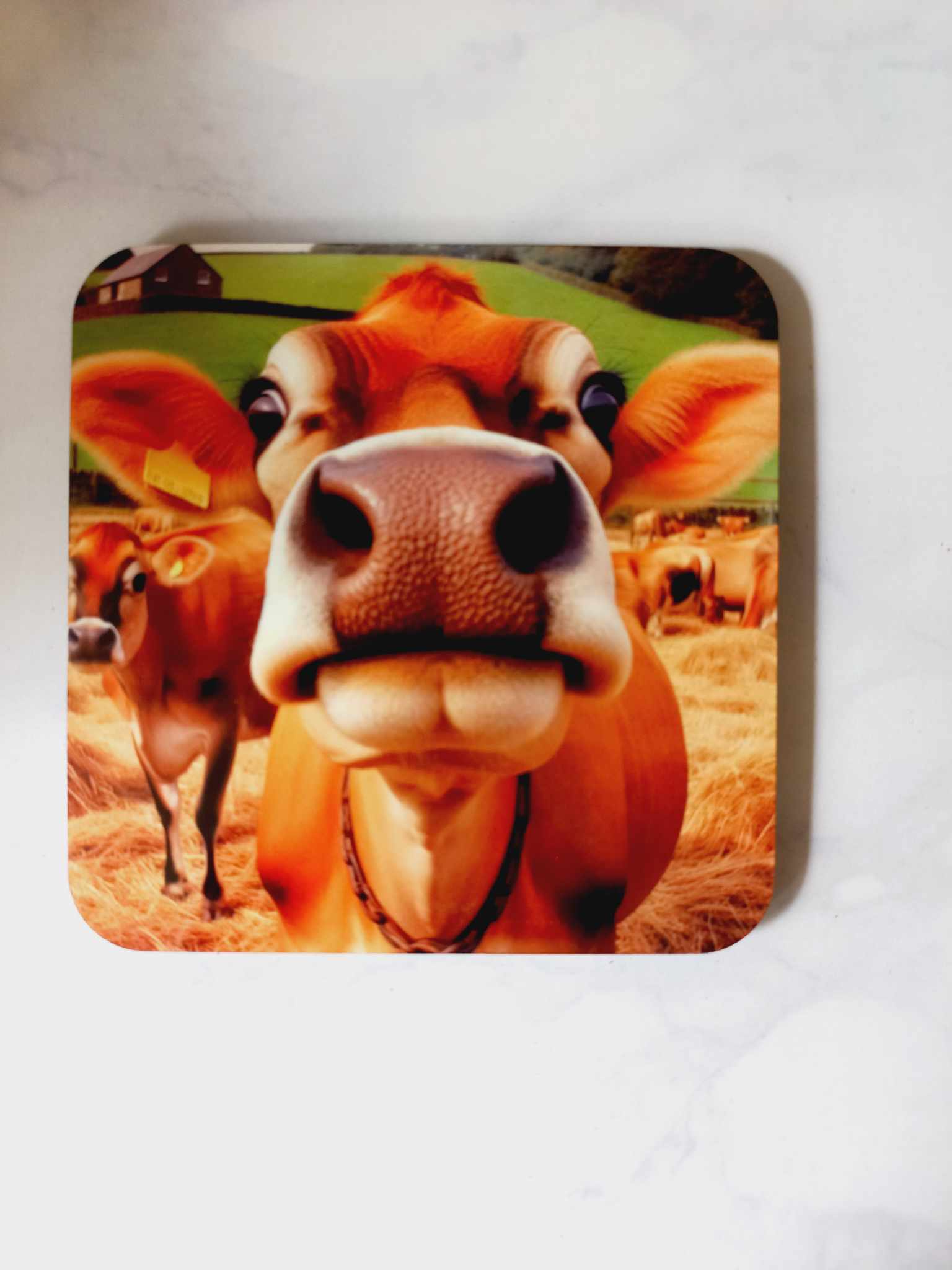 Jersey cow Coaster - Wilde Gifts 