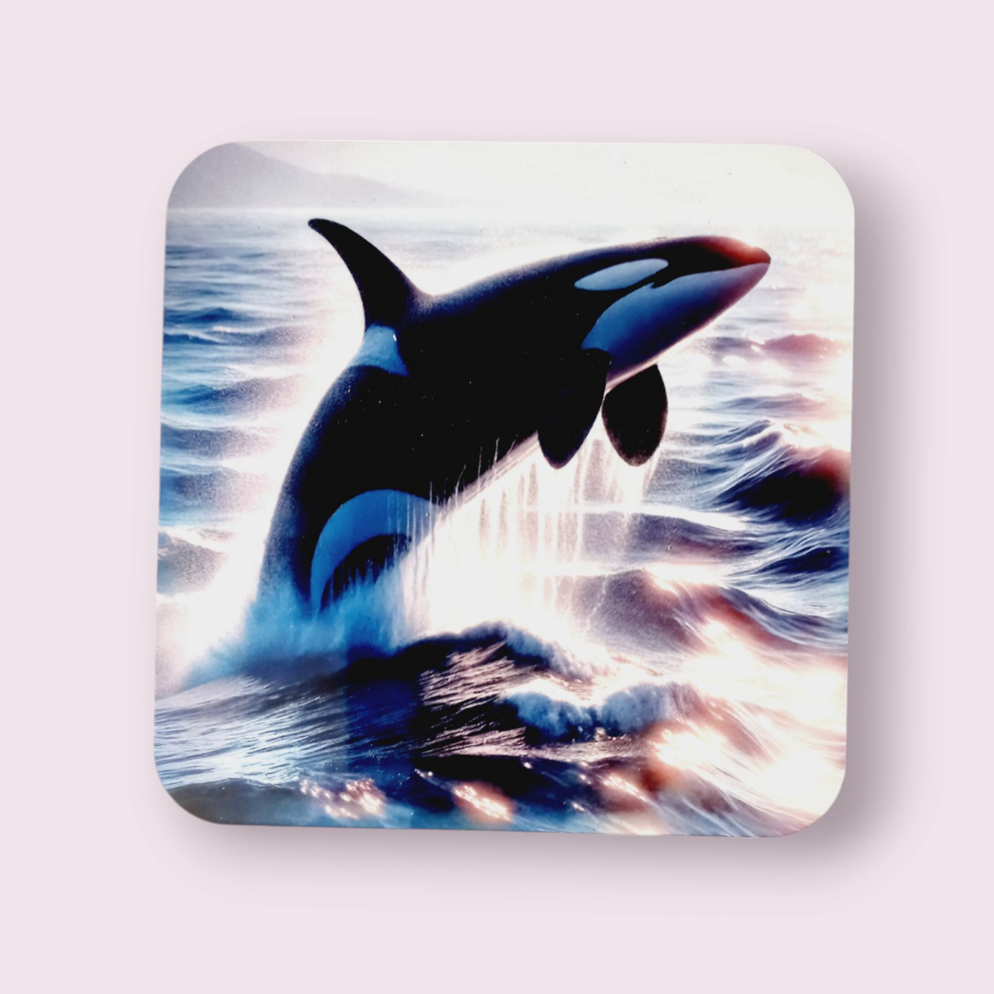 Orca Whale Coaster - Wilde Gifts 