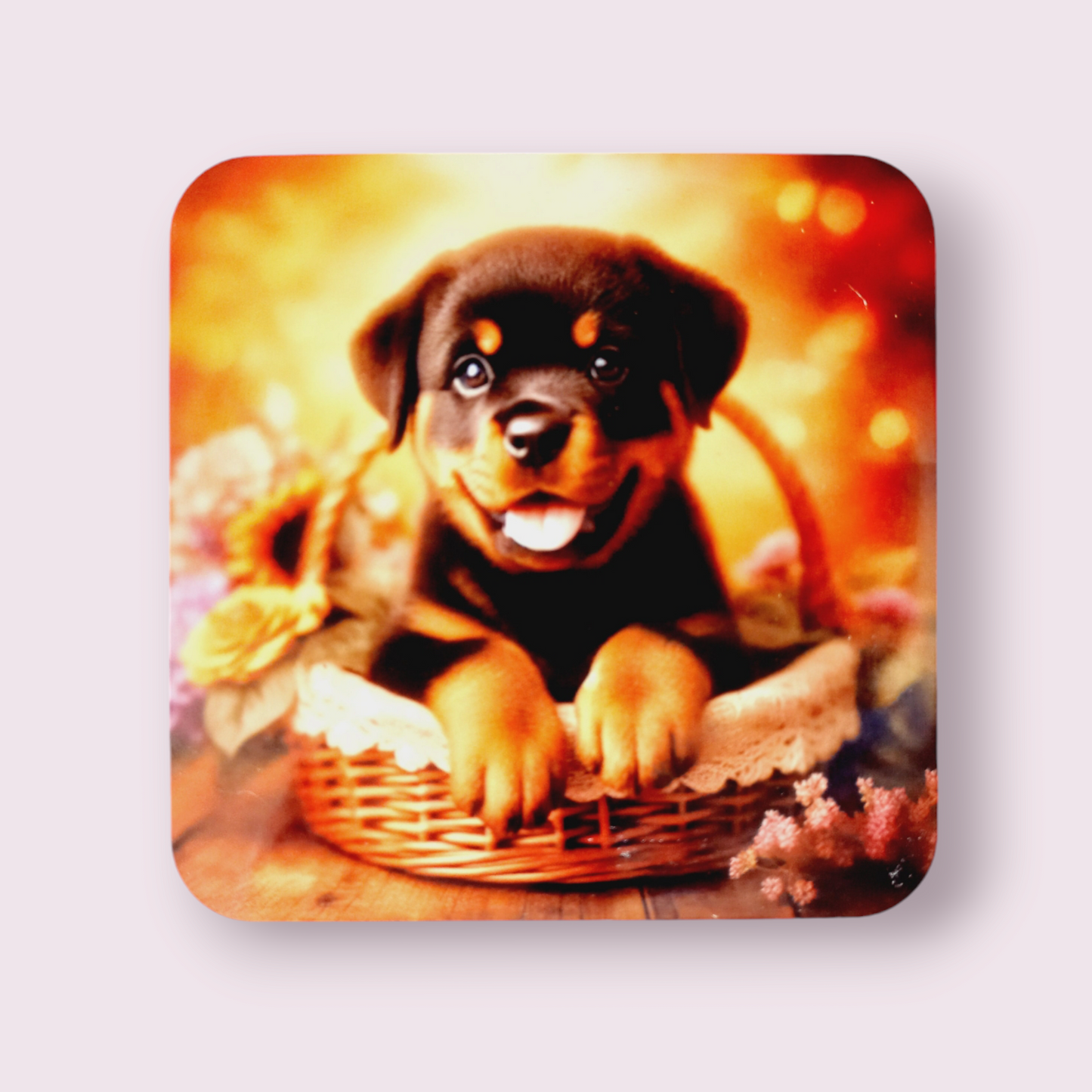 Rottweiler puppy Coaster - Wilde Gifts 