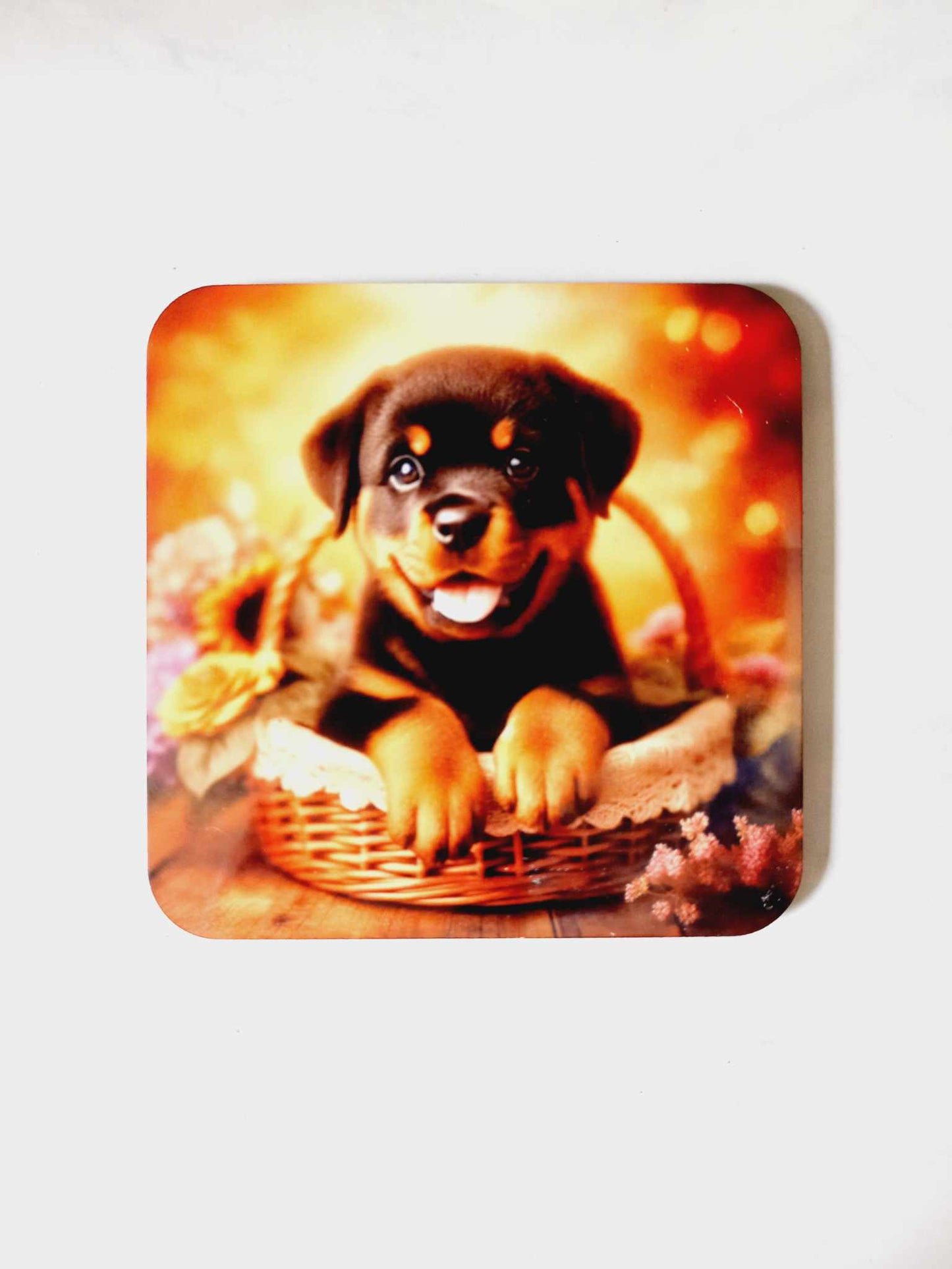 Rottweiler puppy Coaster - Wilde Gifts 