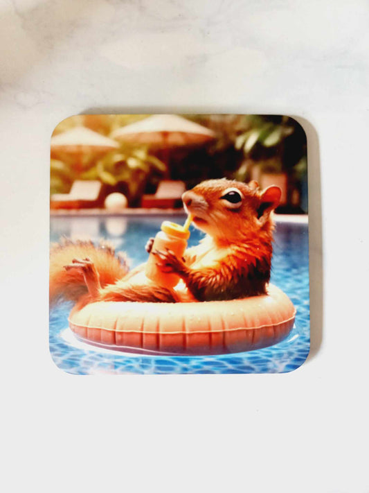 Squirrel pool Coaster - Wilde Gifts 