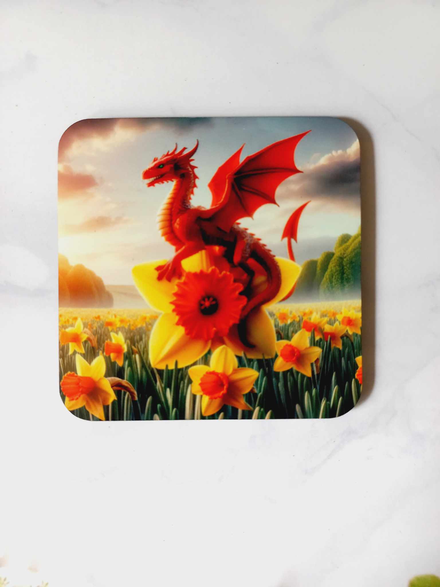 Welsh dragon daffodil Coaster - Wilde Gifts 