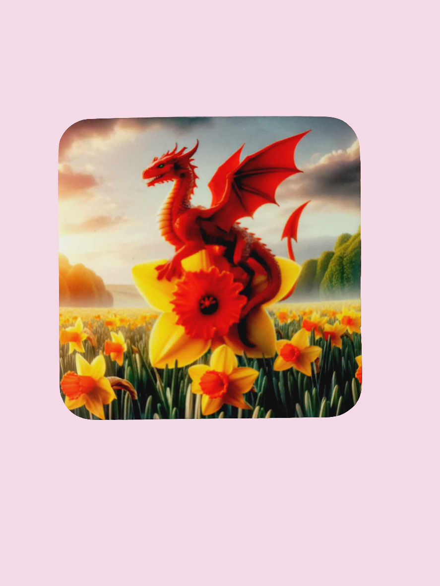 Welsh dragon daffodil Coaster