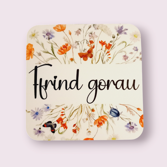 Ffrind Gorau (best friend) welsh coaster